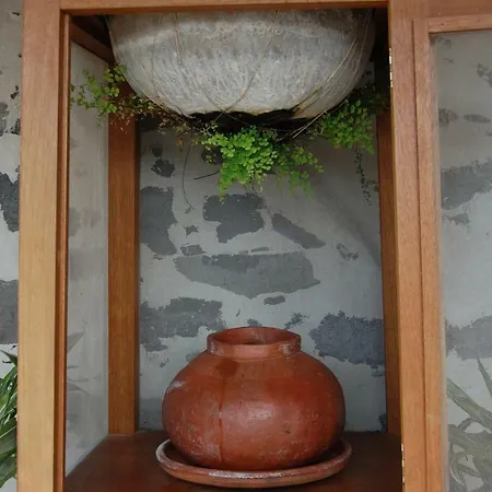 Palmital Bajo Casa Canaria *