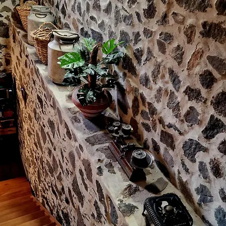 Palmital Bajo Casa Canaria