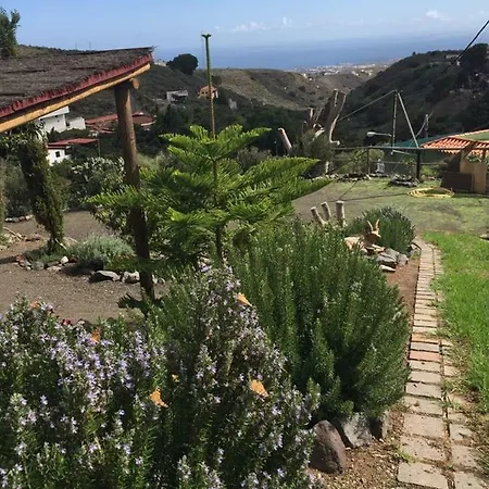 Palmital Bajo Casa Canaria Holiday home *