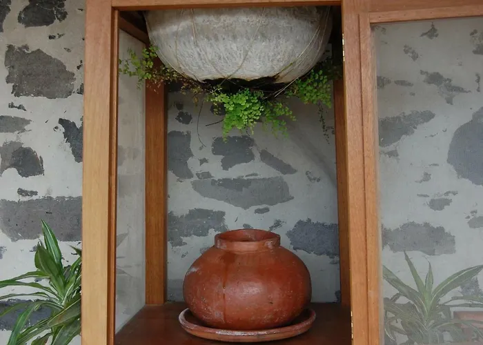 Palmital Bajo Casa Canaria *